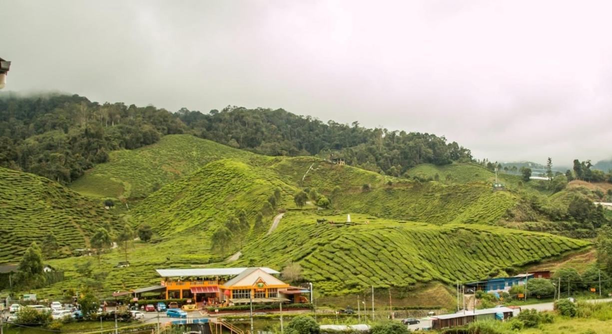 Gorgeous Sunset & Tea Plantation View-Premium Hotel Bed Kampung Kuala Terla ภายนอก รูปภาพ